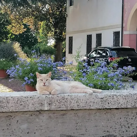 Bed and breakfast Il Selese 3*