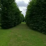 Il Selese Oda ve Kahvaltı