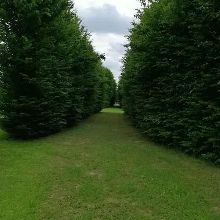 Il Selese Oda ve Kahvaltı