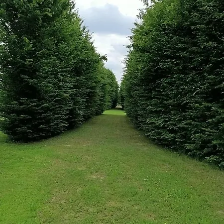 Panzió Il Selese Monticello Conte Otto